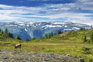 Beautiful landscape in Norway with Summer weather and sunshine