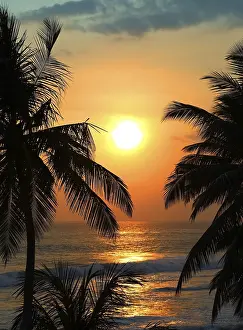 Beautiful landscape with tropical sea sunset and palm trees on foreground