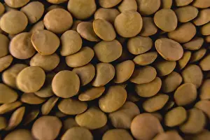 Detail of beautiful lentils with macro photography