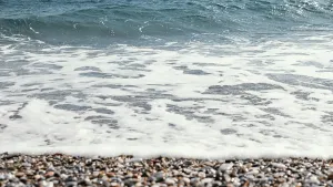 Beautiful natural marine resources 3