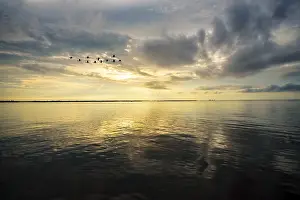 Category Wildlife DE Prints: Beautiful nature landscape