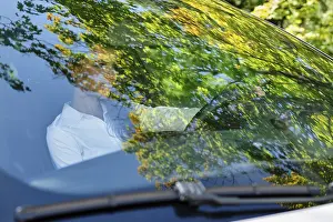 Beautiful smiling brunette girl behind the wheel of a car