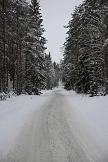 Beautiful snow-covered winter landscape