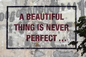 A beautiful thing is never perfect