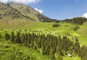 Beautiful view of the Swiss Alps from height