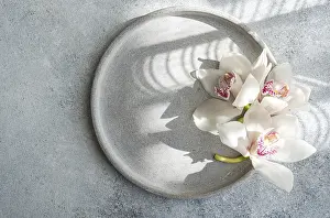 Beautiful white orchids arranged on a round grey ceramic plate create an elegant and minimalist display