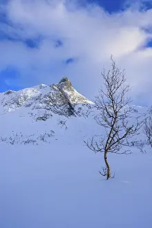 Beautiful winter landscape scene