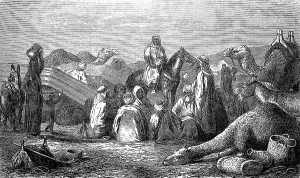 Bedouin camp in the desert, camel caravan