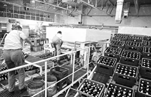 Beer production at the Dortmunder Aktien-Brauerei (DAB) on 29