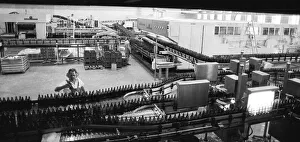 Beer production at the Dortmunder Aktien-Brauerei (DAB) on 29