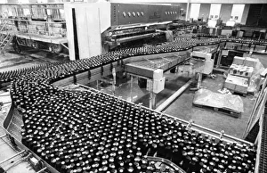 Beer production at the Dortmunder Aktien-Brauerei (DAB) on 29