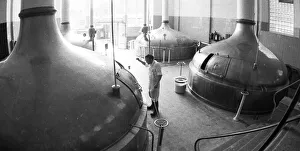 Beer production at the Dortmunder Aktien-Brauerei (DAB) on 29