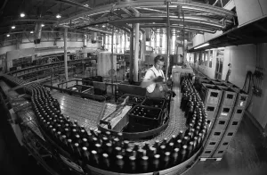 Beer production at the Dortmunder Aktien-Brauerei (DAB) on 29