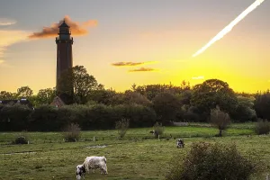 Behrensdorf lighthouse at sunset with grazing cows in the meadow in the foreground