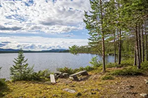 Bench overlooking a lake and surrounding forest landscape