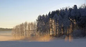 Bernese Plateau