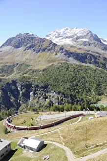 The Bernina Express in the loop at Alp Gruem