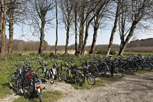 Full bicycle parking area in a spring landscape near Domburg