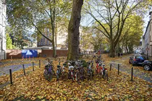 Bicycle parking in autumn leaves