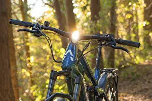 Bicycle standing in the forest