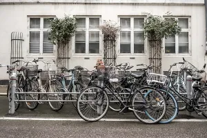 Bicycles lined up against a building facade with white windows on an urban street