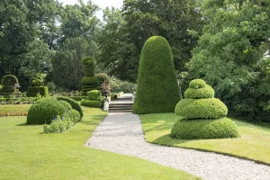 Big green garden with lot of special cut buxus trees