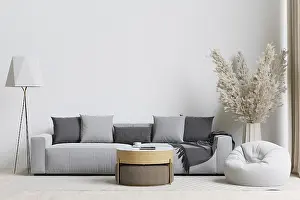 Big white living room.interior design