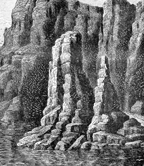Bird cliff at the North Cape, cliff with flock of birds, geography, Norway, historical illustration 1888, Europe