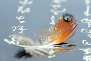 Bird feather and Chinese characters