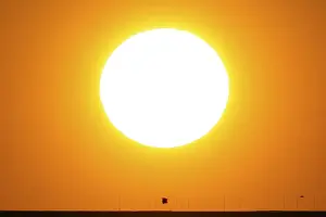 A bird flies under the sun rising over Frankfurt's rooftops