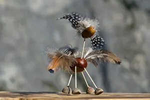 Bird, funny animal figure made of chestnuts and acorns