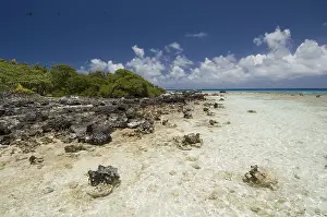 Bird Island, Tikehau coral atoll
