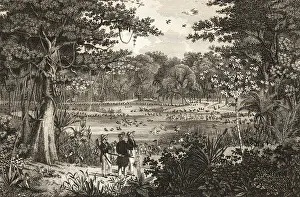 Bird pond on Rio Sao Fransico