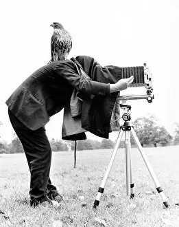 Bird of prey sits on photographer with view camera