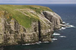 Bird rock at Cape St. Mary's ecological seabird reserve