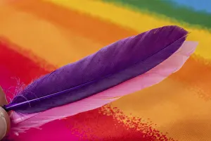 Bird soft plumage feathers in view
