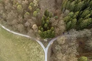 Bird's-eye view of a crossroads surrounded by thick trees and forest