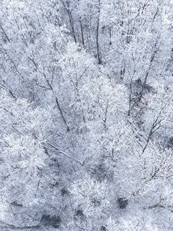 Bird's eye view of a frosty forest full of snow-covered trees