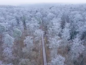 Bird's eye view of a snowy winter forest with a narrow path