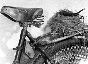 Bird's nest on the carrier of a bicycle approx