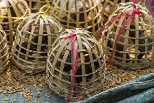 Birds in wooden cages to be released for Laotian and buddhist tradition