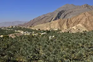 Birkat al Mawz oasis, Hajar al Gharbi mountains