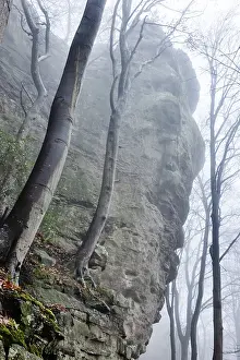 Bizarre rocky landscape in the mist