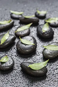 Framed Print : Several black basalt massage stones with green leaves on them