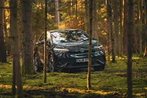 Black car between trees in the forest