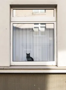 A black cat in a window, symbolic image