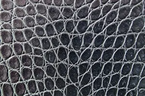 Black crocodile skin background with customizable space for text or for mockup