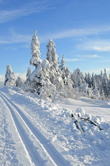 Black Forest, Black Forest in winter
