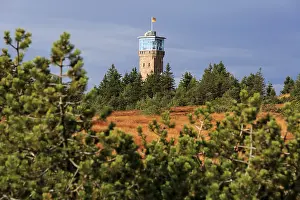 Black Forest National Park, High Moor