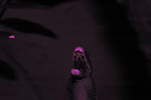 Black mamba in UV light (Dendroaspis polylepis)